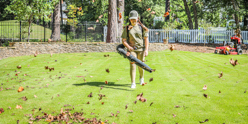 Spring & Fall Yard Cleanups in Columbia, South Carolina